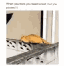 Fall Cat GIF - Fall Cat Asleep GIFs