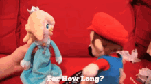Sml Mario GIF - Sml Mario For How Long GIFs