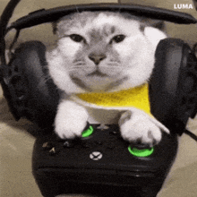 a cat is wearing headphones and playing a video game .