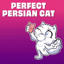 a cartoon of a cat taking a selfie with the words perfect persian cat below it