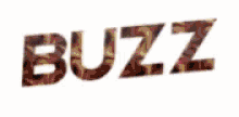 buzz network logo brand