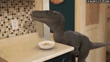 Velociraptor Push GIF - Velociraptor Push Cat GIFs