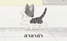 แมว จี้จัง มีความสุข GIF - Chi Cat Happy GIFs