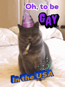 a cat wearing a party hat is sitting on a bed with the words oh to be gay in the usa