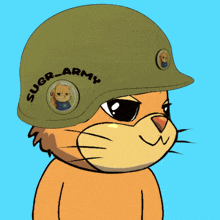 a cat wearing a helmet that says suger-army