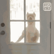 dog doggo peeking door let me in
