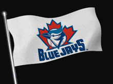 a blue jays flag waving in the wind with a black background