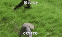 Solicy Crypto GIF - Solicy Crypto Cryptocurrency GIFs