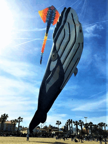 a kite in the shape of a whale flies in the sky