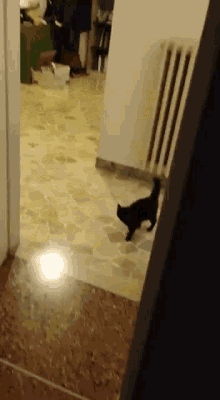 Cat Angry GIF - Cat Angry Morgana GIFs