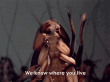 Cockroaches We Know Where You Live GIF - Cockroaches We Know Where You Live GIFs