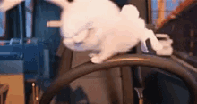 Snowball Pets GIF - Snowball Pets Bunny GIFs