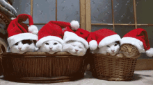 Christmas Kitties GIF - Christmas Kitties Cute GIFs