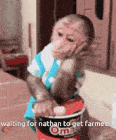 a monkey is sitting on a bucket that says oma
