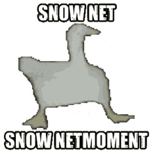 snow net moment