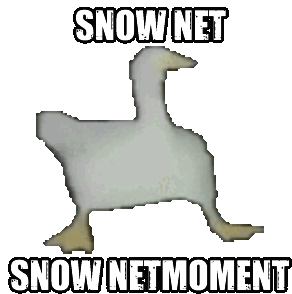 Snow Net Sticker - Snow Net Moment Stickers