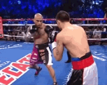 Sergio Martinez Cotto GIF - Sergio Martinez Cotto Knock Out GIFs