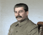 a man with a mustache is sitting in a chair looking at the camera