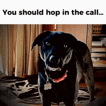 Cali Dog GIF - Cali Dog Hop In The Call GIFs