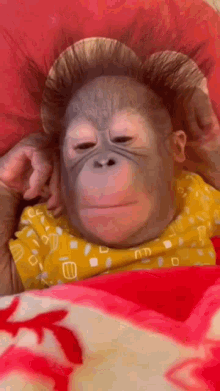 Monkey Cliç Baby GIF - Monkey Cliç Baby Monkey Baby GIFs