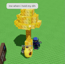 a screenshot of a video game with the words me when i hold my dih on the bottom right