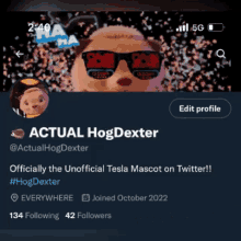 Hogdexter Thelilith GIF - Hogdexter Thelilith Demsare Over GIFs
