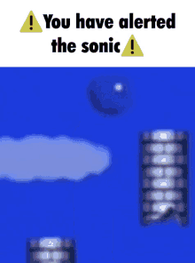You Have Alerted The Sonic Sonic GIF - You Have Alerted The Sonic Alerted The Sonic Sonic GIFs