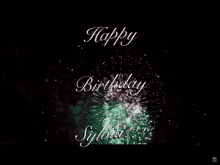 Happy Birthday Sylvia Fireworks GIF - Happy Birthday Sylvia Fireworks Hbd GIFs