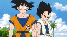 Goku Vegeta GIF - Goku Vegeta Dbs GIFs
