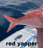 Red Yapper Yapping GIF - Red Yapper Yapper Yapping GIFs