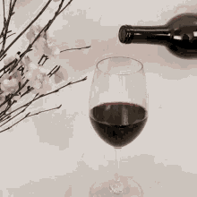 Glass Of Red Wine GIF