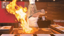 Benihana Britney GIF - Benihana Britney Britney Spears GIFs