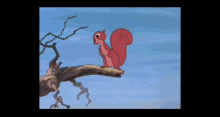 Squirrel Cartoon GIF