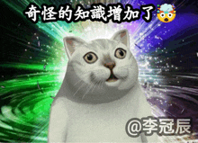 a cat with a surprised look on its face is surrounded by chinese characters