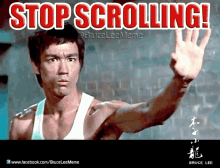 Bruce Lee Stop Scrolling GIF