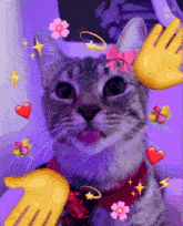 GIF