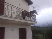 a horse standing on a balcony of a building