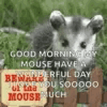Mouse Good Morning GIF - Mouse Good Morning Miss You GIFs