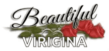 Beautiful Rose GIF - Beautiful Rose Virgina GIFs
