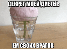 a glass of water with a pink flower in it and the words " cekpet moei dietb " above it