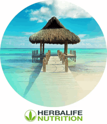f%C3%A9rias herbalife viagem de incentivo herbalife nutrition punta cana herbalife escapadas