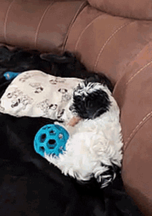 Puppy Excited GIF - Puppy Excited Happy To See You GIFs