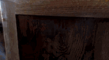 a close up of a wooden surface with a person 's face in the background