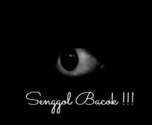 a black and white photo of a person 's eye with the words senggol bacok !!! below it