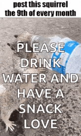 a squirrel is standing next to a bottle of water and a bottle of soda .