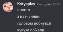 a screenshot of a chat with the name kotyaplay on it