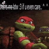 a cartoon of a turtle with the words " this is me btw 3 if u even care " on the bottom