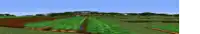 a blurry picture of a field of carrots in a video game