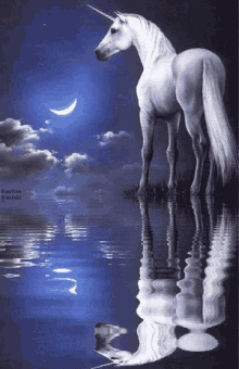 Night Unicorn GIF - Night Unicorn Reflection GIFs