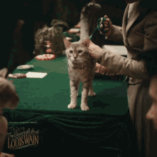 Petting Cat The Electrical Life Of Louis Wain GIF - Petting Cat The Electrical Life Of Louis Wain Stroking Cat GIFs